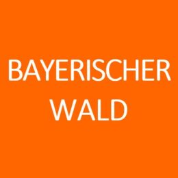 BAYERISCHER WALD