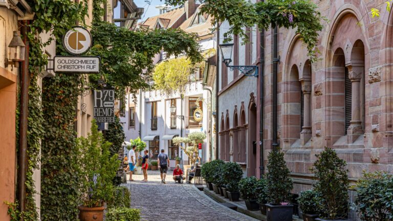 Freiburger FWTM, Freiburg Motive