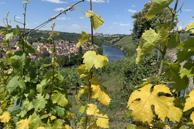 AKZENT Hotel Möhringer Hof Stuttgart